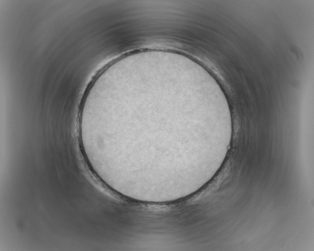 X0000112970848200909241325