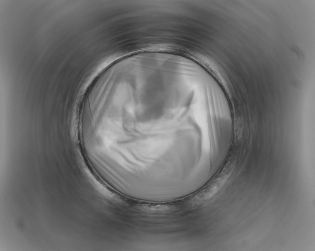 X0000112970851200909241325