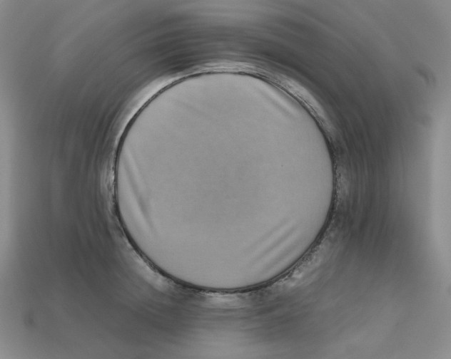 X0000112970852200909241325