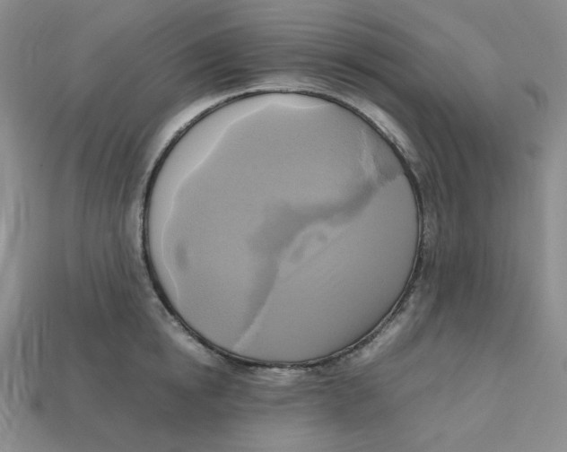 X0000112970854200909241325