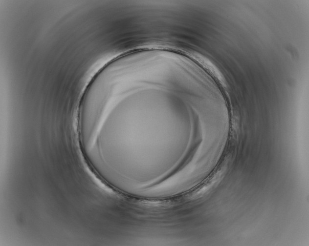 X0000112970855200909241325