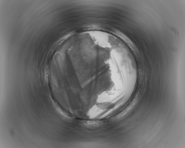 X0000112970857200909241325