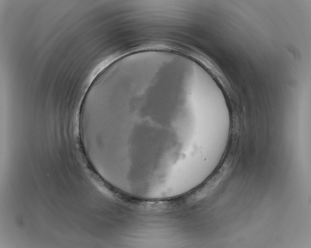 X0000112970858200909241325