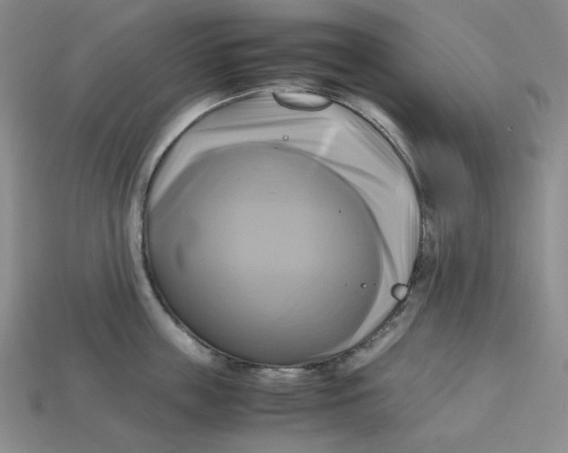 X0000112970859200909241325