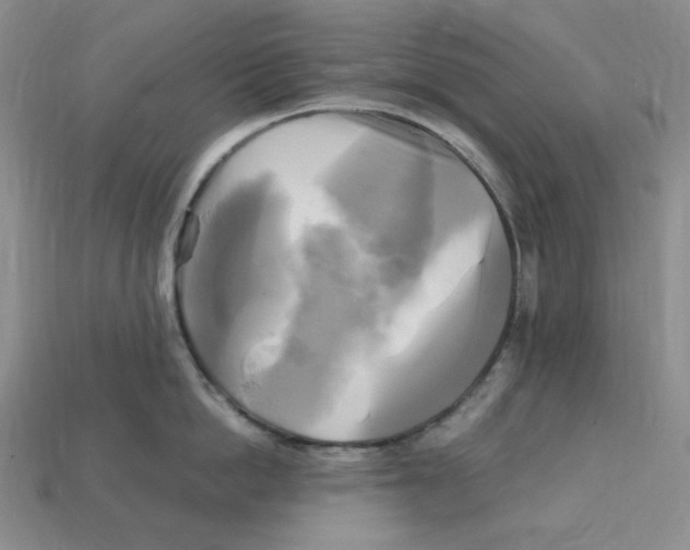 X0000112970862200909241325