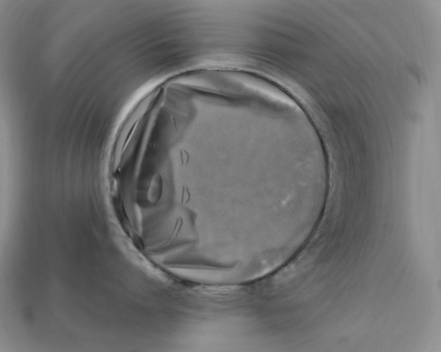X0000112970864200909241325