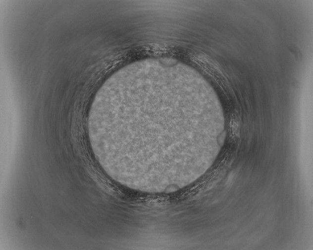 X0000112970865200909241325