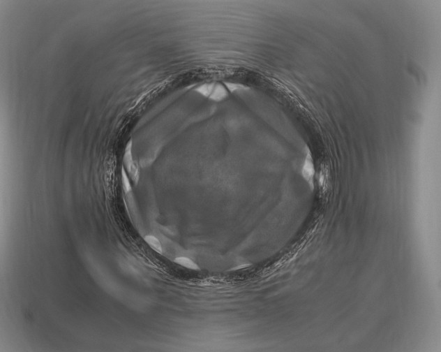 X0000112970867200909241325