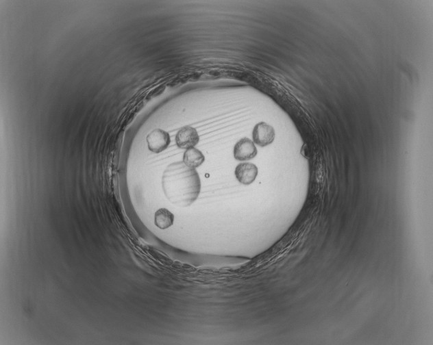 X0000112970868200909241325