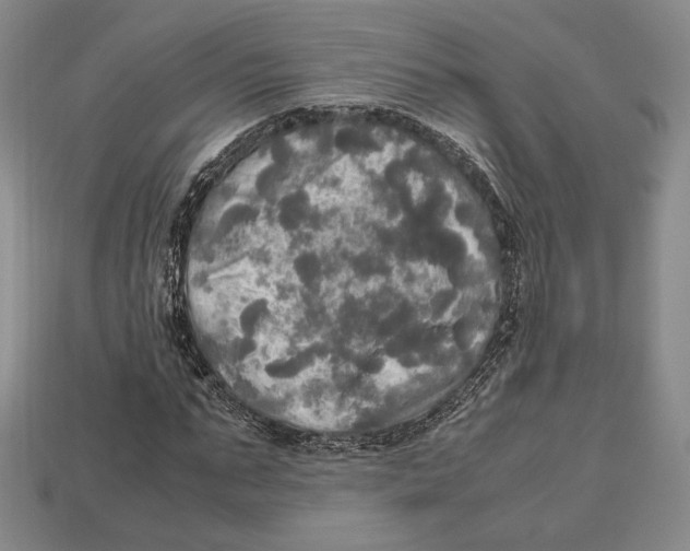 X0000112970871200909241324