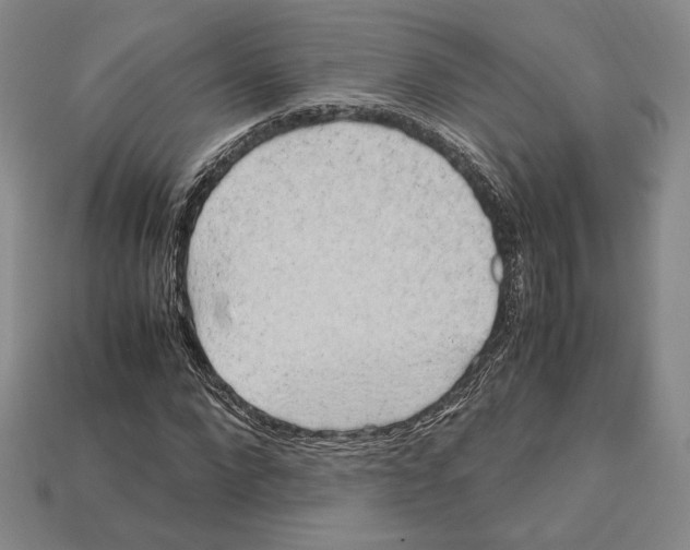 X0000112970872200909241324