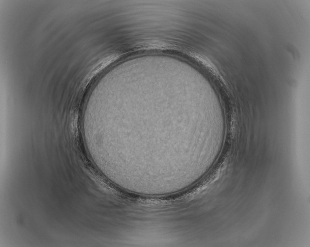 X0000112970873200909241324