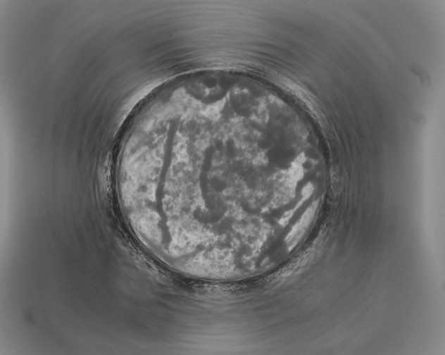 X0000112970875200909241324
