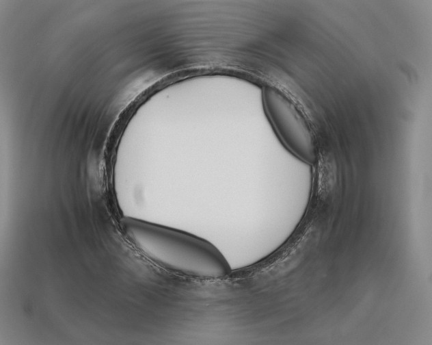X0000112970876200909241324