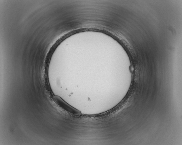 X0000112970880200909241324