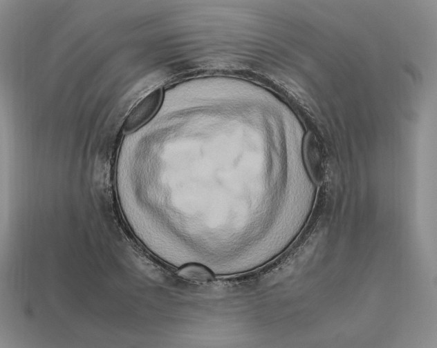 X0000112970881200909241324