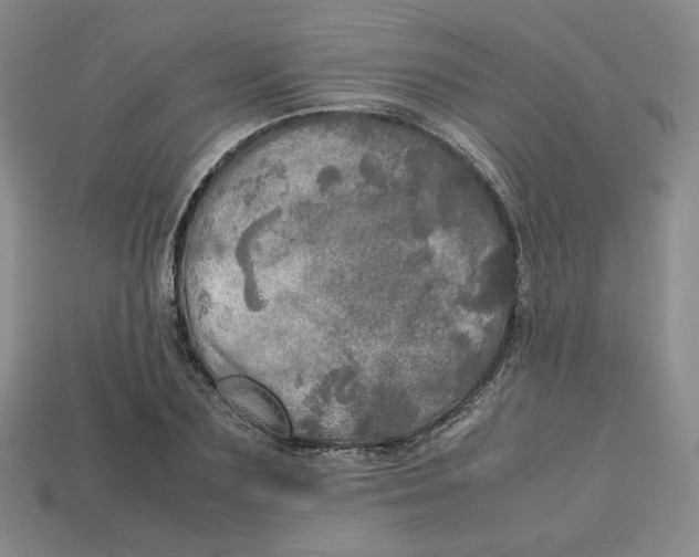 X0000112970883200909241324