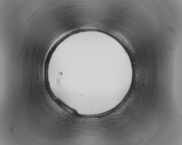 X0000112970884200909241324