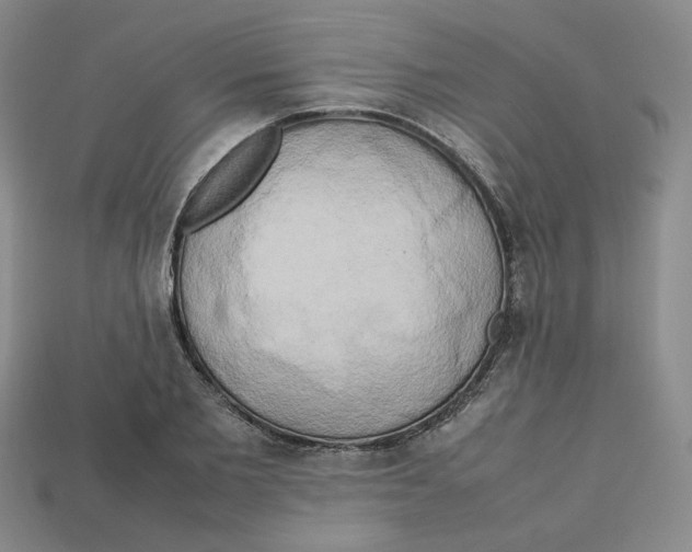 X0000112970885200909241324