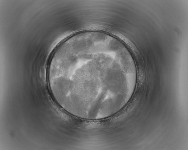 X0000112970886200909241324
