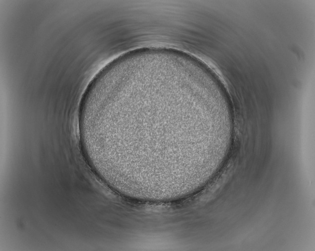 X0000112970887200909241324