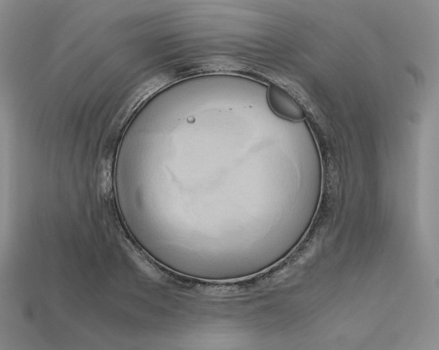 X0000112970889200909241324