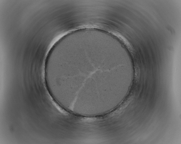 X0000112970894200909241324