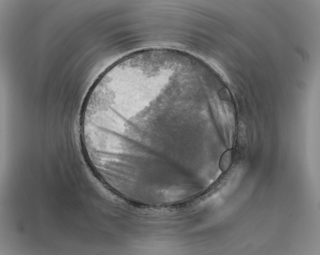 X0000112970895200909241324