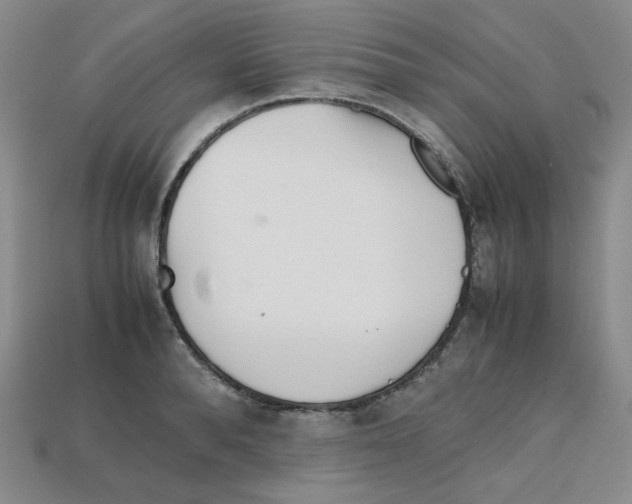 X0000112970896200909241324