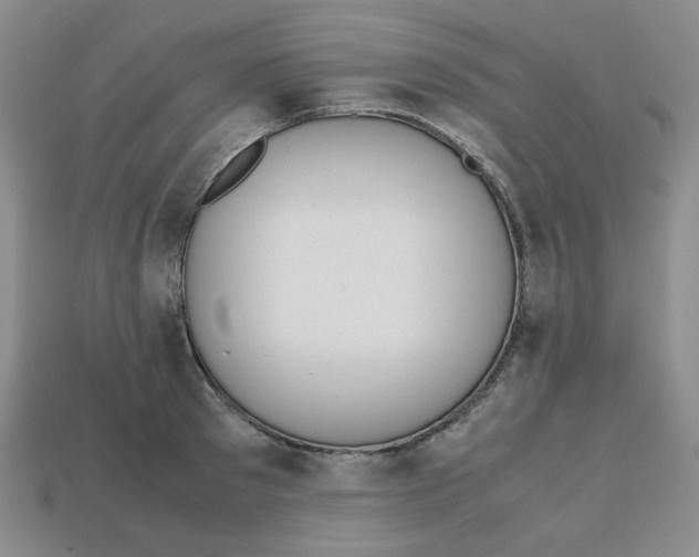 X0000112970897200909241324