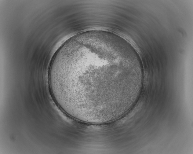 X0000112970898200909241324