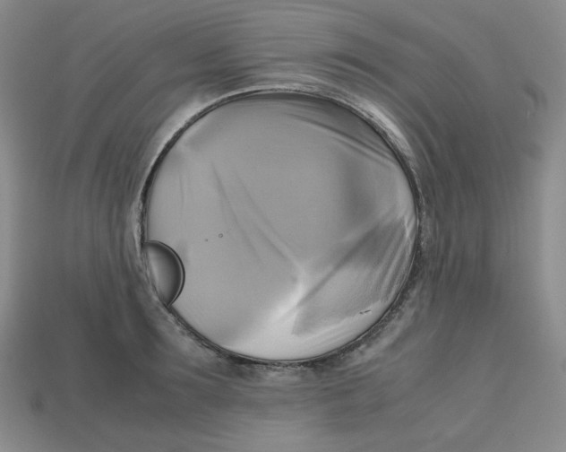 X0000112970899200909241324