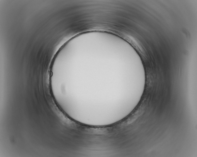 X0000112970900200909241324