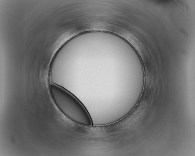 X0000112970901200909241324