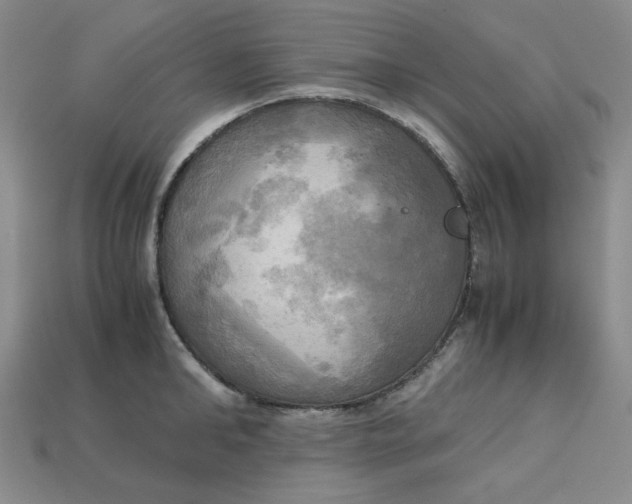 X0000112970902200909241324