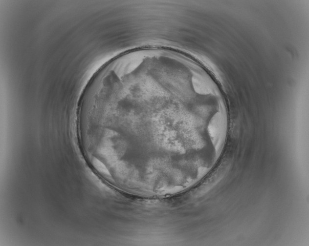 X0000112970903200909241324