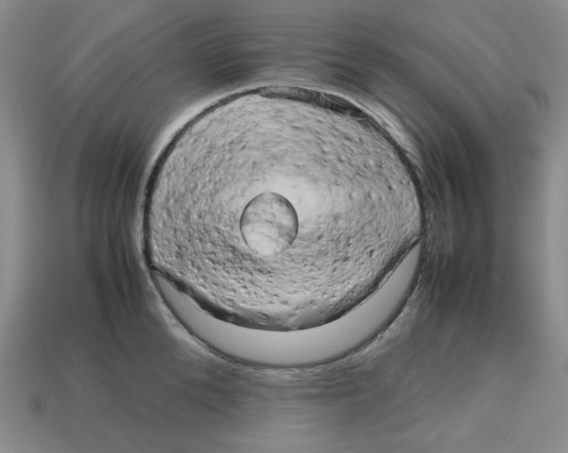 X0000112970904200909241324