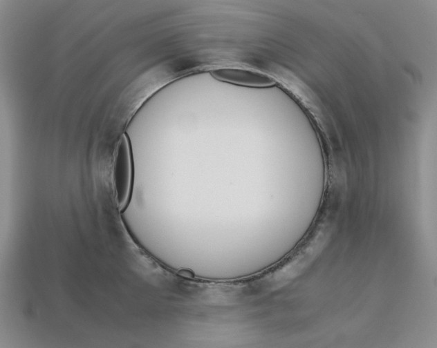 X0000112970905200909241324