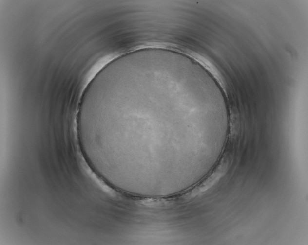 X0000112970906200909241324