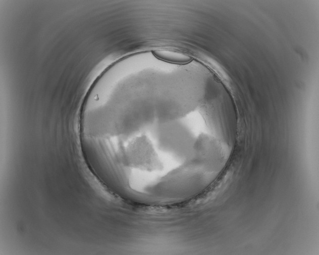 X0000112970907200909241324