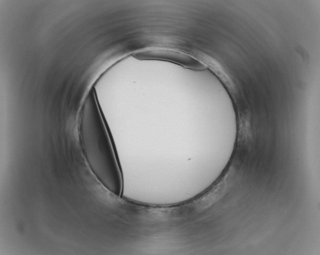 X0000112970908200909241324
