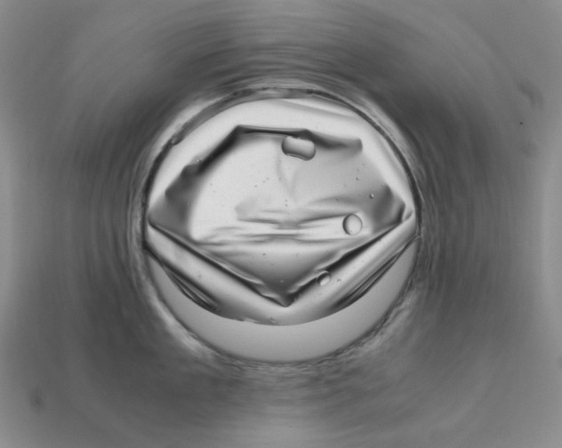 X0000112970909200909241324