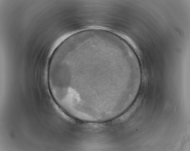 X0000112970910200909241324