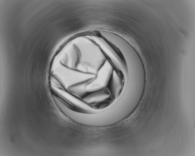 X0000112970912200909241324