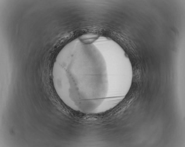 X0000112970913200909241323