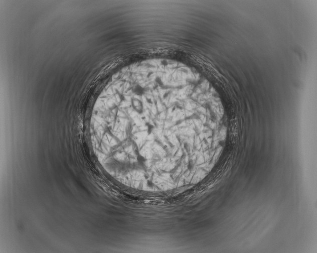 X0000112970916200909241323