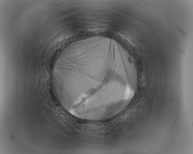 X0000112970917200909241323