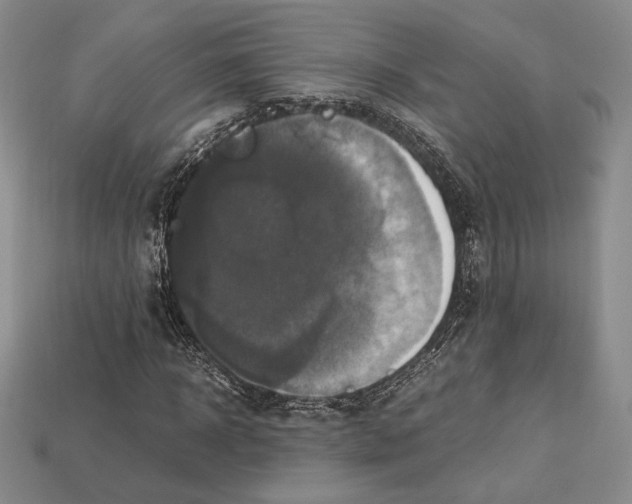X0000112970918200909241323