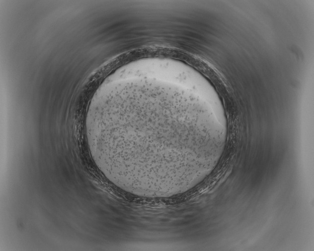 X0000112970919200909241323