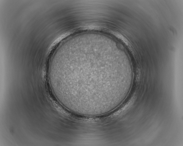 X0000112970922200909241323